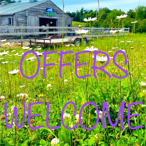 Reasonable Offers Always Accepted - Picture 1 of 1